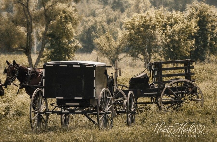 An Amish buggy on a country road